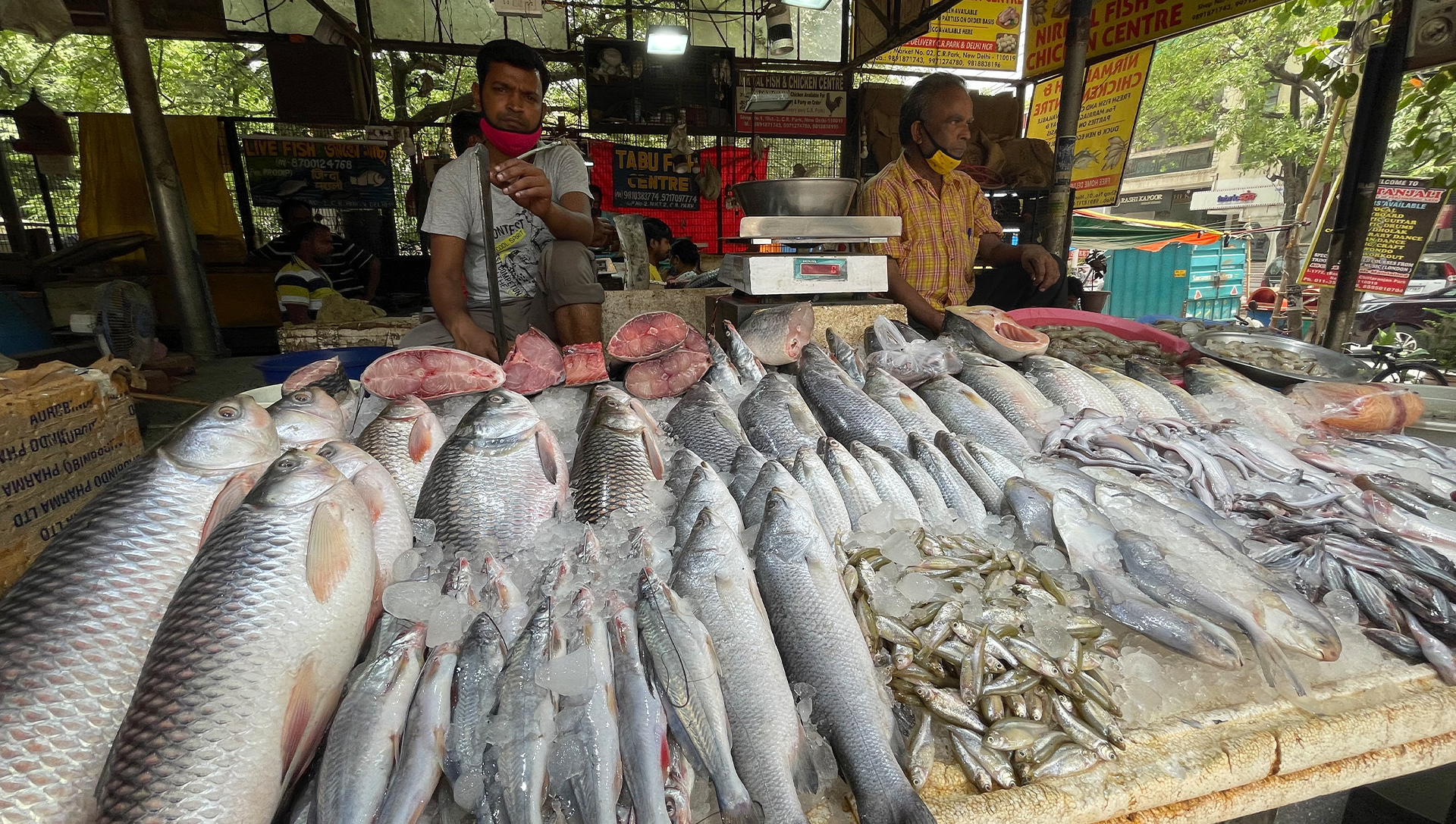 Chittaranjan Park Market, Selecting fish