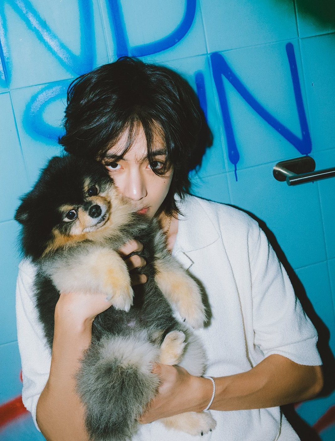V's Rainy Days Music Video Features His Adorable Dog Yeontan