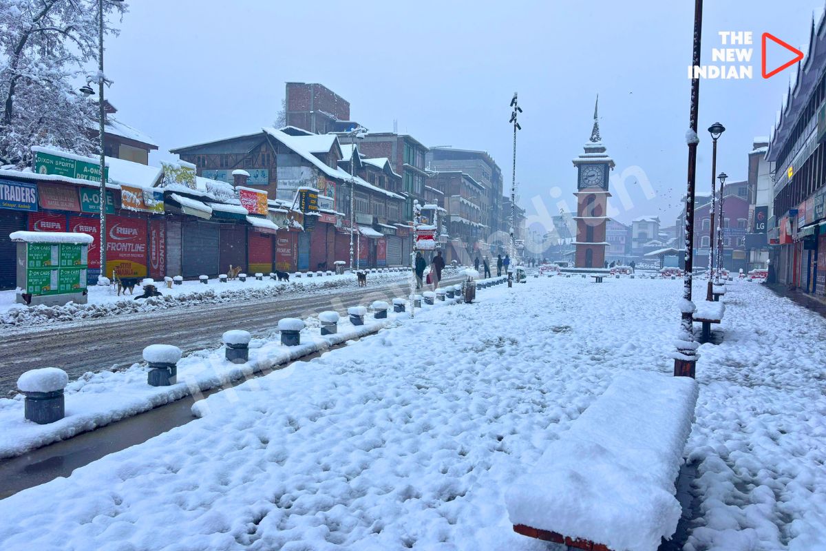 Fresh snowfall blankets Kashmir, disrupting roads, flights, daily life.